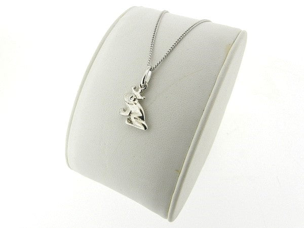 Silver pendant with thin gourmet chain Princess frog
